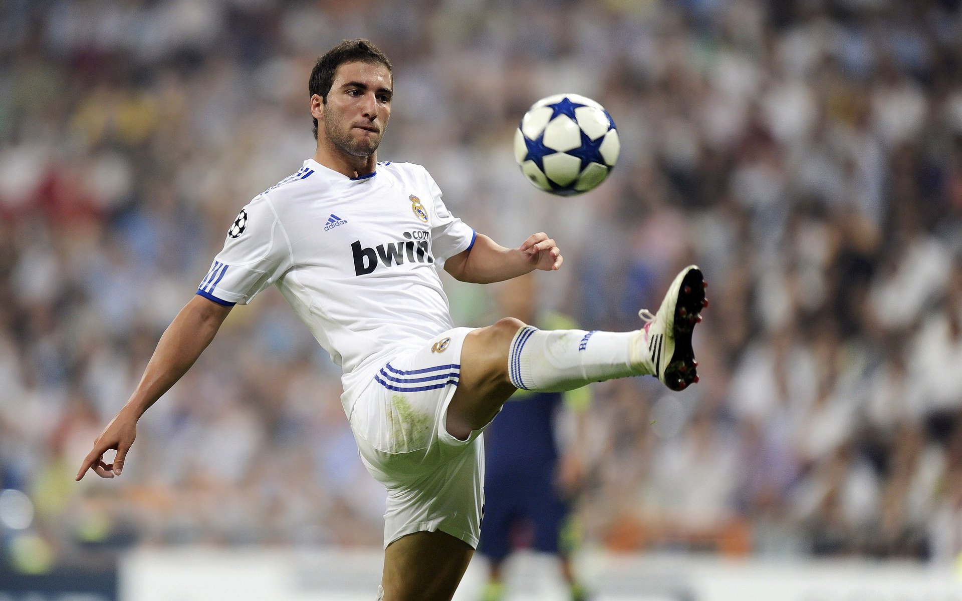 费德勒赛事官方发布精彩发挥新规，切尔西争议不断！